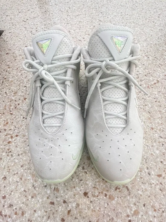 Nike LeBron 22 Dunkman Sz 9.5