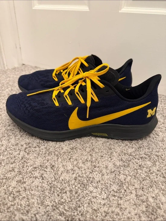 Nike Men’s Michigan Wolverines Sneakers size 11.5