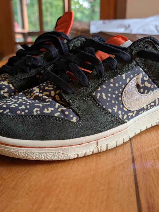 FN7523-300 belongs to the Nike Dunk Low SE 