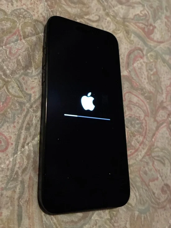 iPhone 15 Pro Max 256 GB Locked (Xfinity)