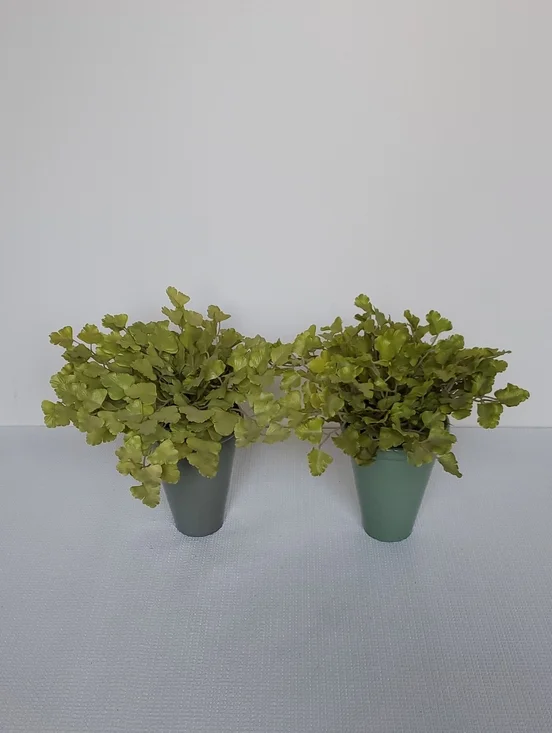 Artificial Gingko Plant in Pot - Home Accents Set of 2