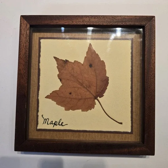 2001 Pressed Red Maple Leaf Framed Wall Art Nature Decor Handmade Botanical‎ 8x8