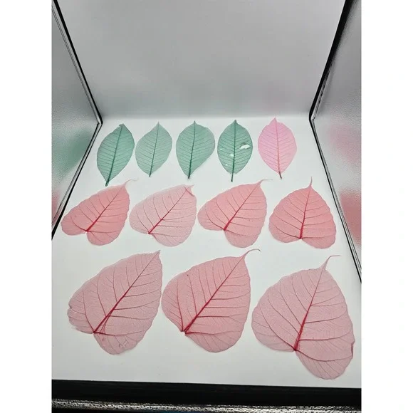 Skeleton Leaves Green Pink‎ Botanical Decor Crafting Floral Arrangements