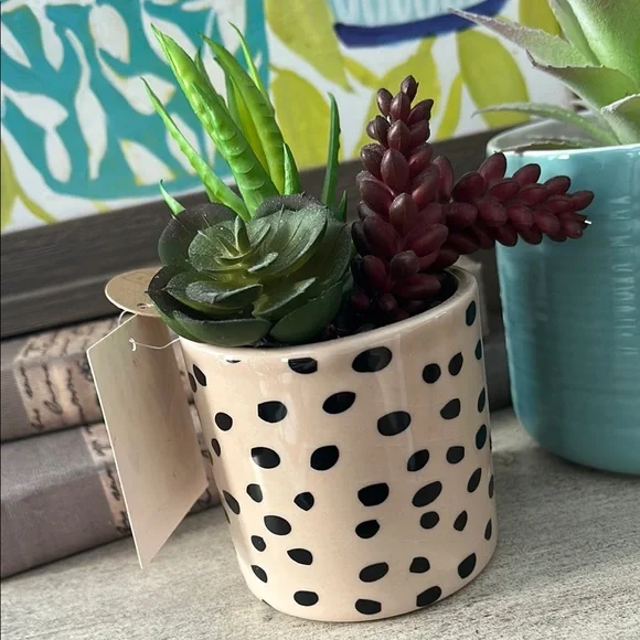 Polka Dot cheetah Planter with Succulents