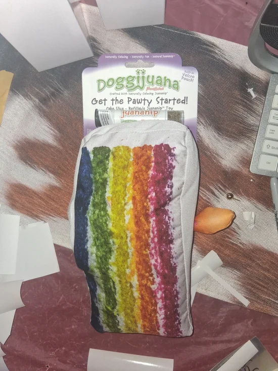 Doggjuana JuanaNip Rainbow Plush Dog Toy - Multicolor