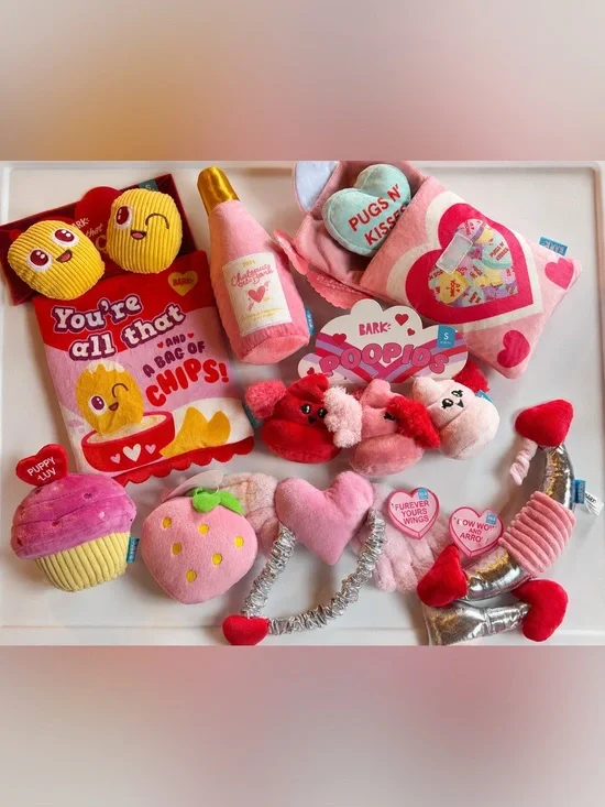 BARK BOX Pink Valentine Plush Toy 8 piece set NEW