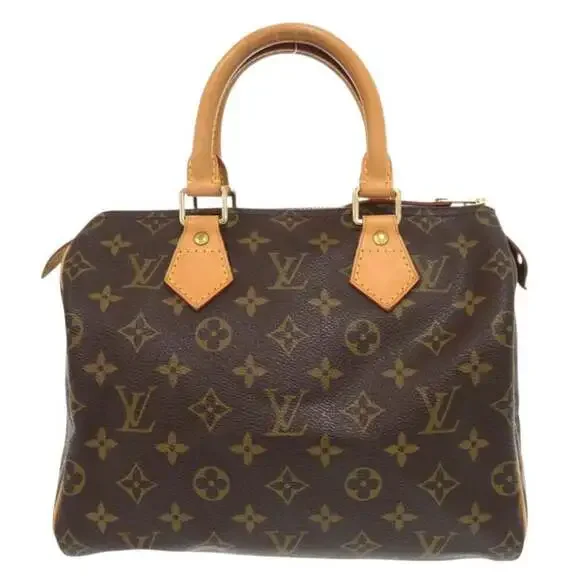 LOUIS VUITTON Brown Monogram Speedy 25 Bag