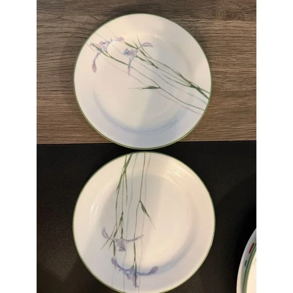 Corelle Iris Bread Butter Plates Set of 2 Purple Floral Green Rim Vitrelle 6.75