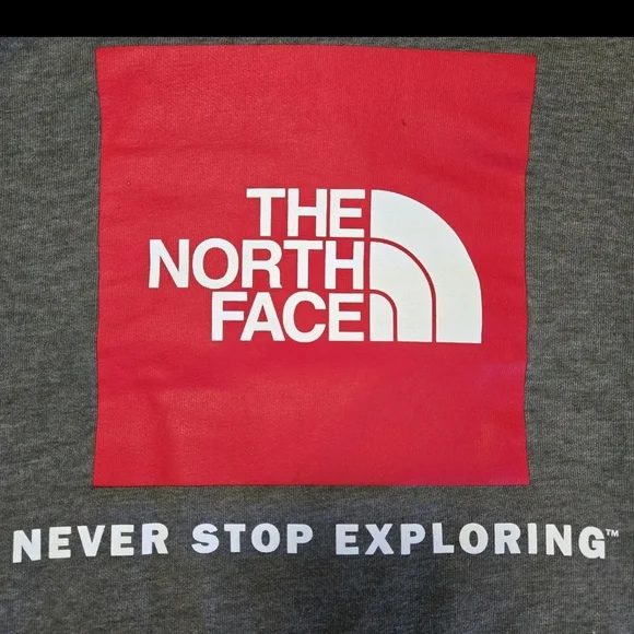 The North Face Gray Box Logo Hoodie 