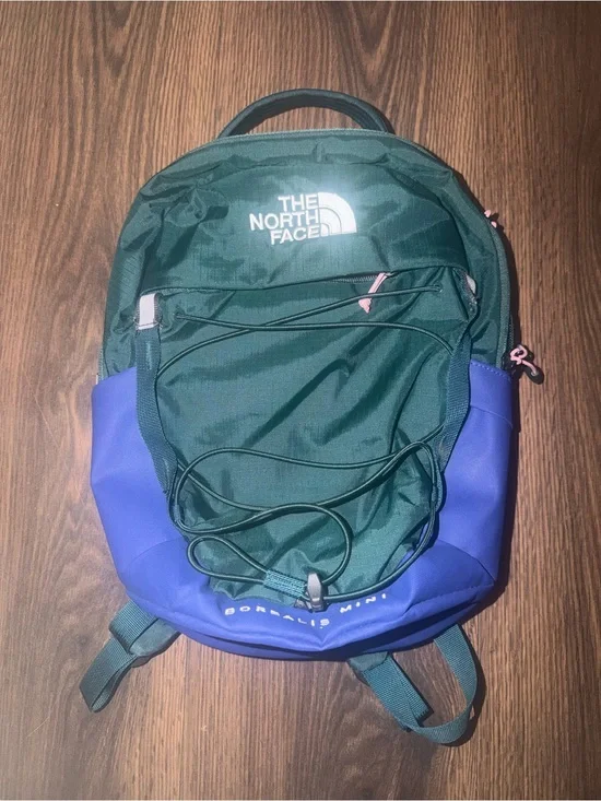 The North Face Two-Tone Green & Purple Backpack