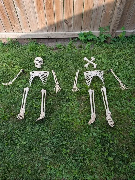 Lot of 2 Buried Alive Skeleton Halloween Decorations