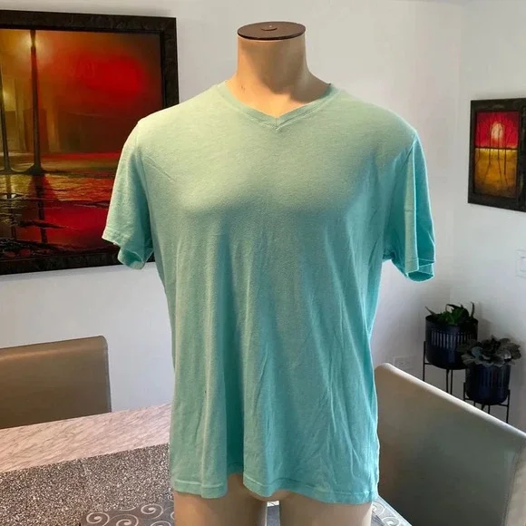 Banana Republic Large Fitted Vee Short Sleeve T Shirt