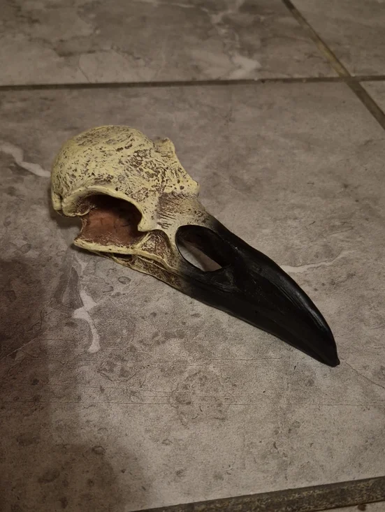 Decorative Raven Skull Prop Resin