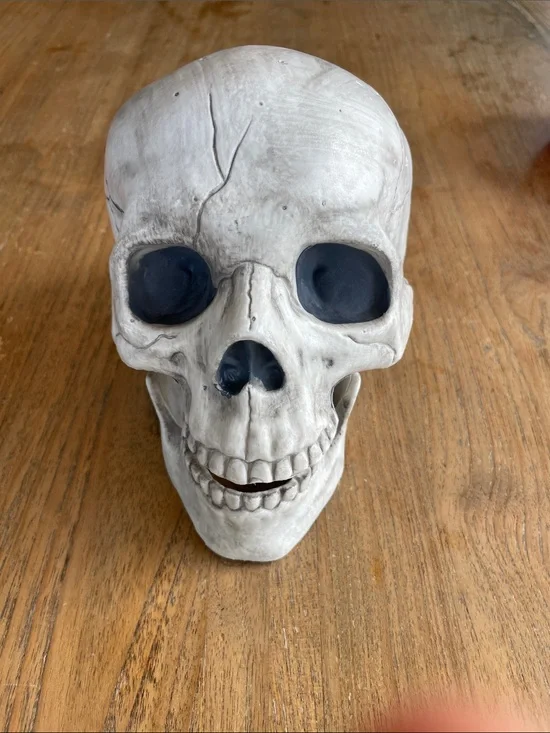 Plastic skull model Halloween decoration