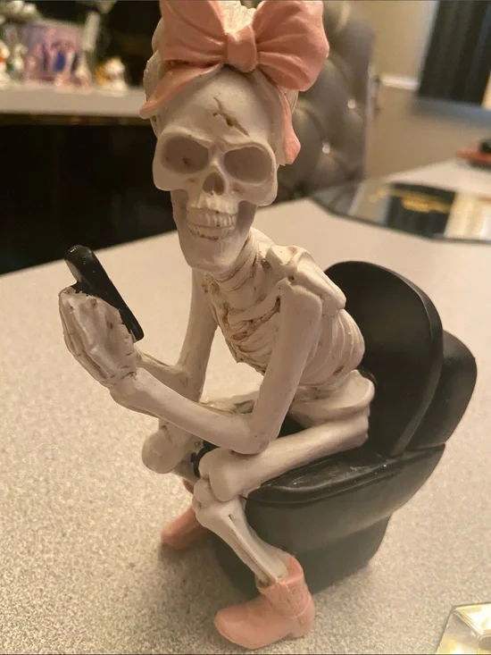 Pink-Bow Skeleton Figurine Sitting on Black toilet chair