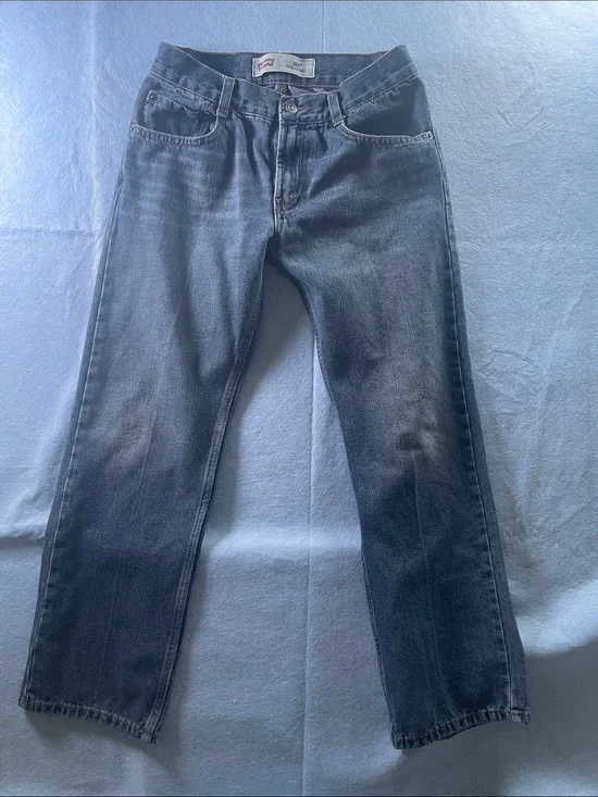 Levi's Men’s Blue Straight Jeans