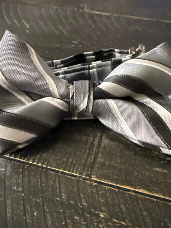 Gray and Black Striped Bow Tie