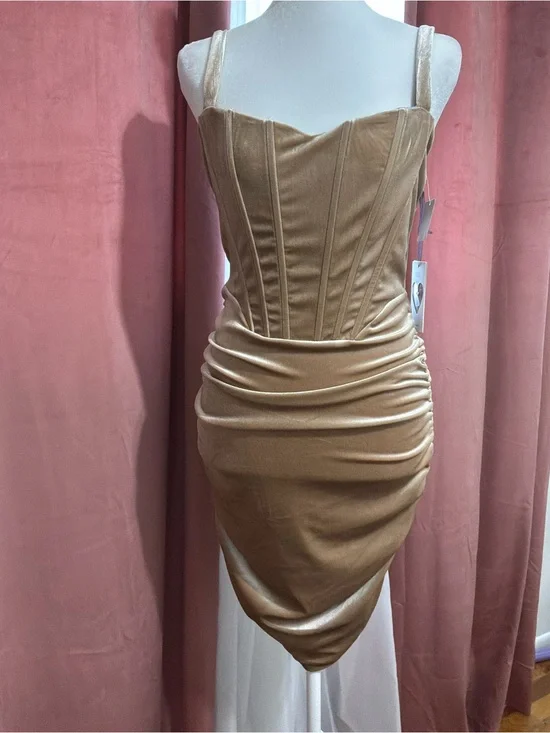 NWT Iris Champagne Velvet Ruched Mini Dress
