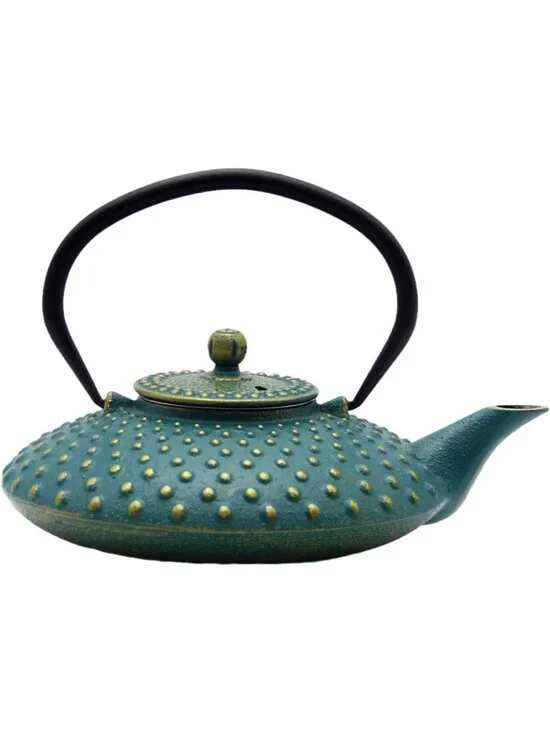 Blue Cast Iron Kitchen Japanese Teapot 27.1oz Stovetop Loose Leaf Infuser Pot