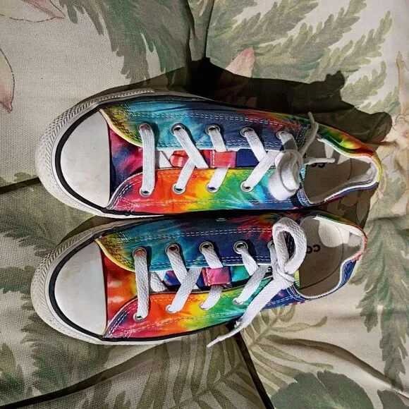 Converse Multi Trainers