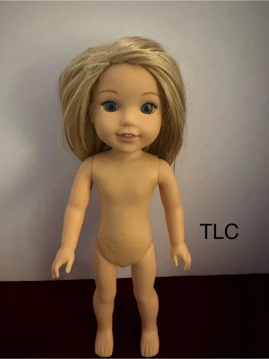 American Girl WellieWishers 