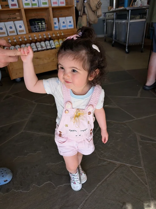 OshKosh B'gosh Pink Unicorn Short Overalls 2T