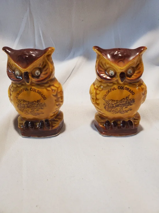 Vintage Ceramic Owl Salt & Pepper Shakers Colorful Colorado Googly Eyes Souven
