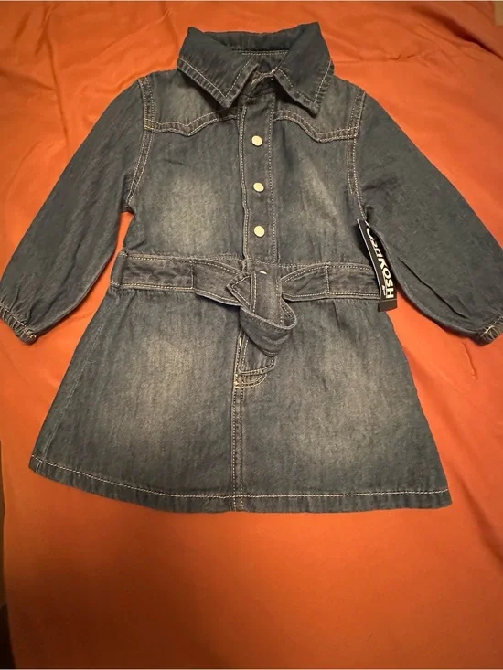 Denim Button-Front Toddler dress with Waist Tie - Blue