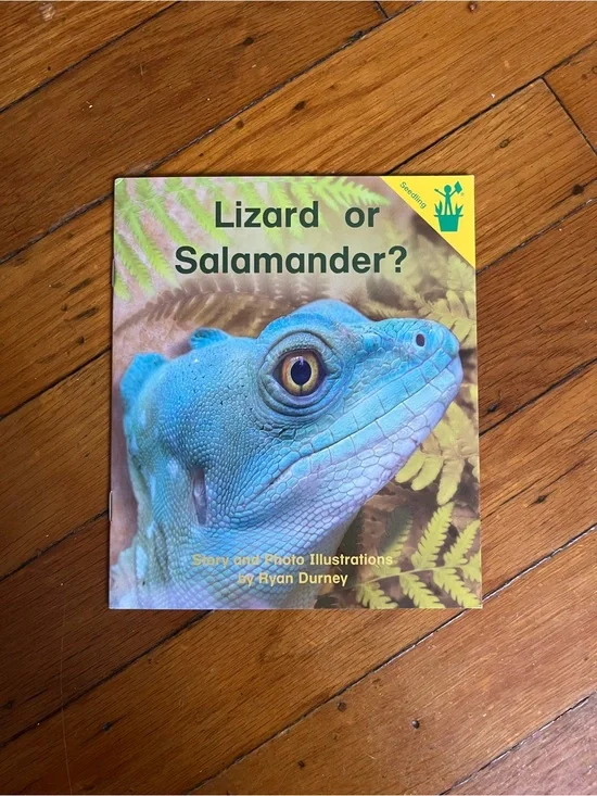 Lizard or Salamander? - Blue Cover Reptile Book by Ryan Durney