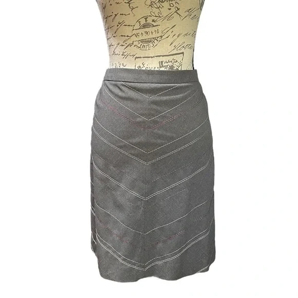 Ann Taylor Gray with Pink Embroidery A-line Skirt Size 6P