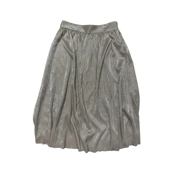 Who‎ What Wear Skirt  Size 4 Metallic Pleated Shimmer Chic Glam