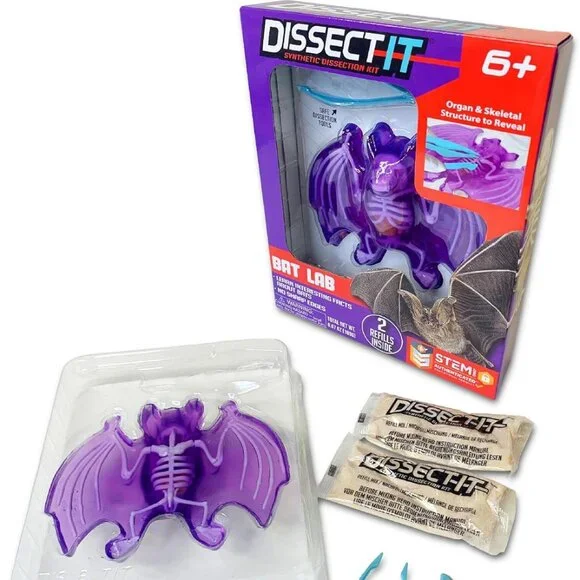 NEW Dissect-it Synthetic Lab Dissection Toy STEM KIT CRAFT Project Bat Biology A