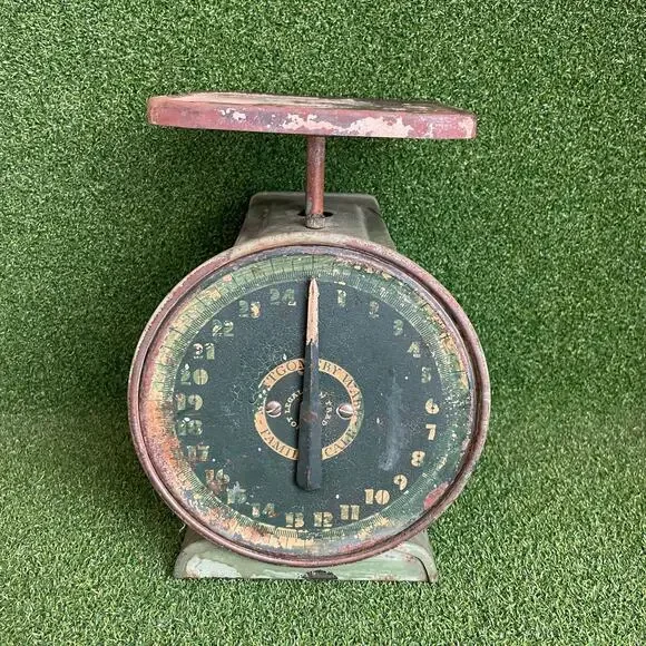 Vintage Antique Montgomery Ward Family Kitchen Scale 25 lbs