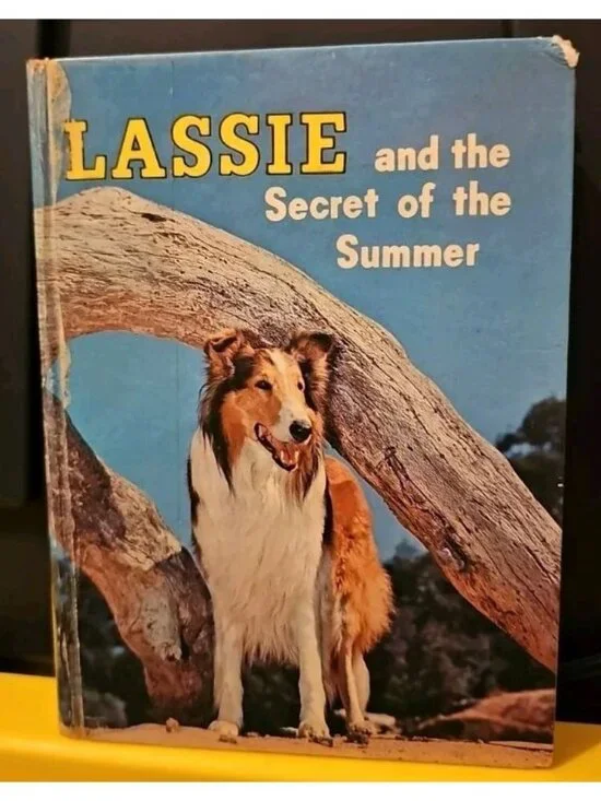 Lassie and the Secret of the Summer Hardcover Book by Dorothea Snow Vintage 1958