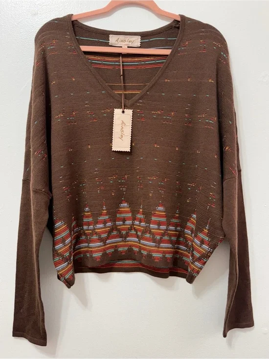 NWT Ainsley Chocolate Brown V-Neck Knit with Colorful Striped Hem
