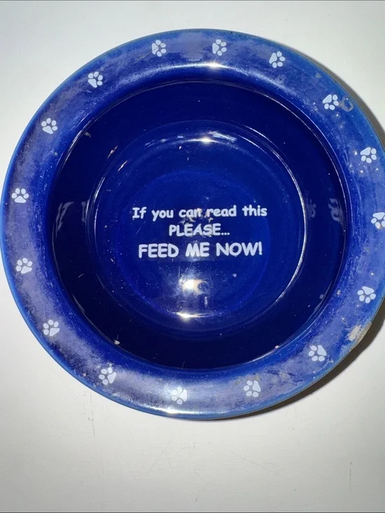 Novelty Ceramic Pet Bowl Feed Me Now Funny Saying Heavy No Tip