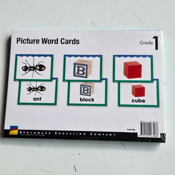 Benchmark Education Grade 1 Picture Word Cards Literacy Tool New Y23190