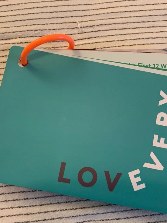 Lovevery Play Guide