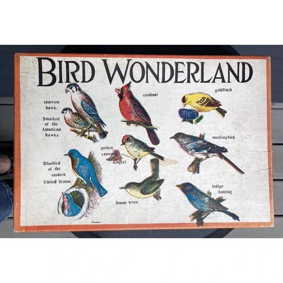 Vintage Child Welfare Publishers Bird Wonderland puzzle game color 1940's