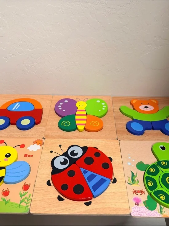 Colorful Wooden Ladybug Puzzle - Red