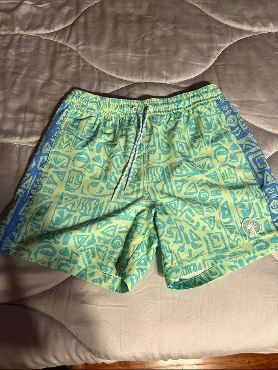 Men's chubbies swim