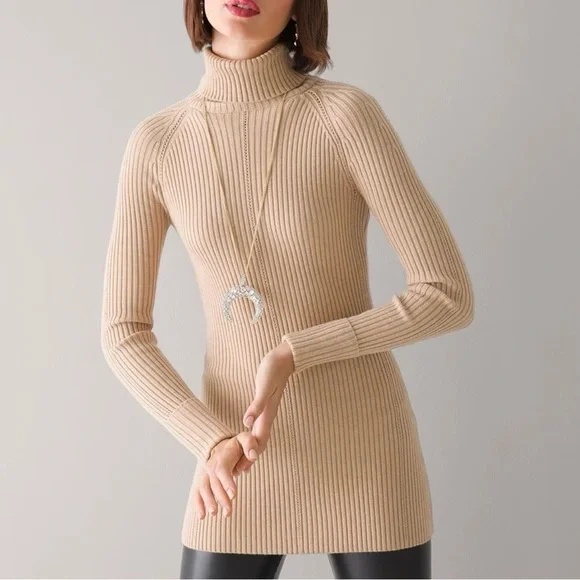 NWT White House Black Market WHBM Long Sleeve Turtleneck Pointelle Tunic XS