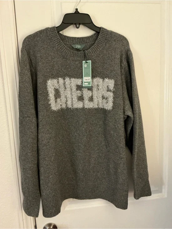 Terra Sky Gray Cheers Talking Sweater Silver Eyelash Plus 2X 20W-22W NWT