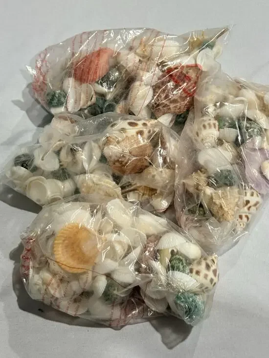 Lot of 4 Bags Assorted Natural Seashells with Cowries, Scallops & Decorative