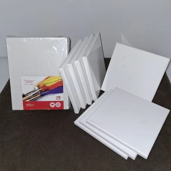 Canvas Blank Lot Set White: Sealed 12 Pk 8x10 & 4 8x8. Then 4x4 Open Pkg (Blank)