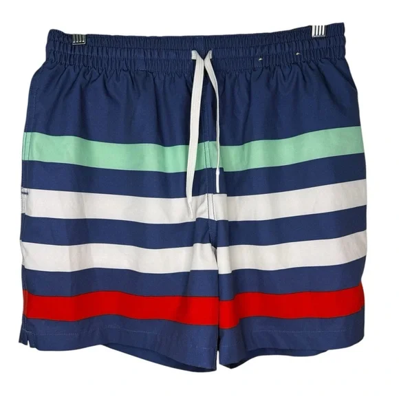 Chubbies Men's The Me Likey The Stripey 5.5” Classic Swim Trunks Medium