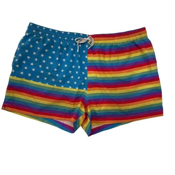 Chubbies Love Is Love Pride Flag Rainbow Mesh Lined Swim Trunks Mens 2XL Shorts