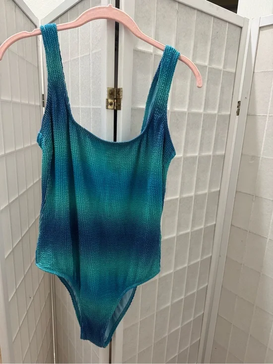Blue ombre one piece from vici