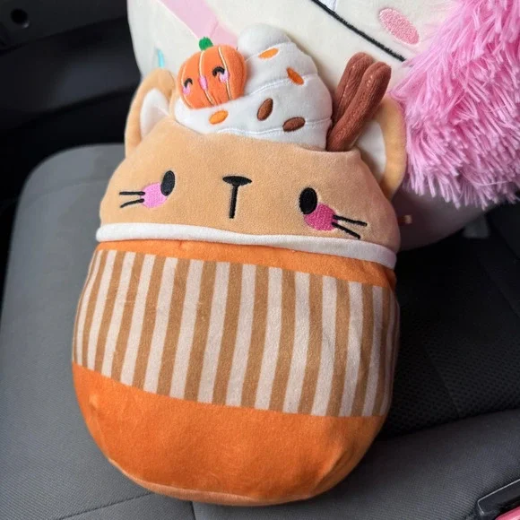 Squishmallows CINDA The Pumpkin Latte Cat 8