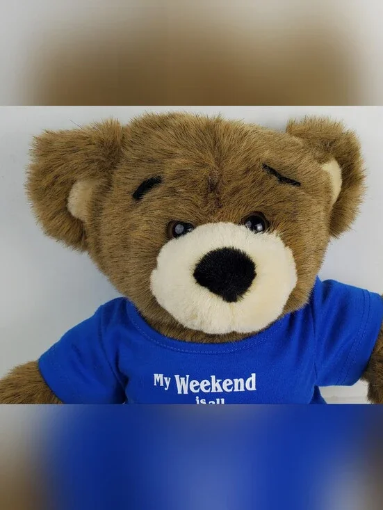Build-A-Bear BAB VTG Bearemy Retired Stuffed Animal Plush My Weekends Booked Tee